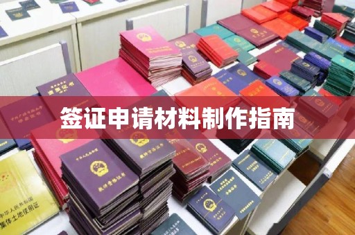 平南签证申请材料制作指南